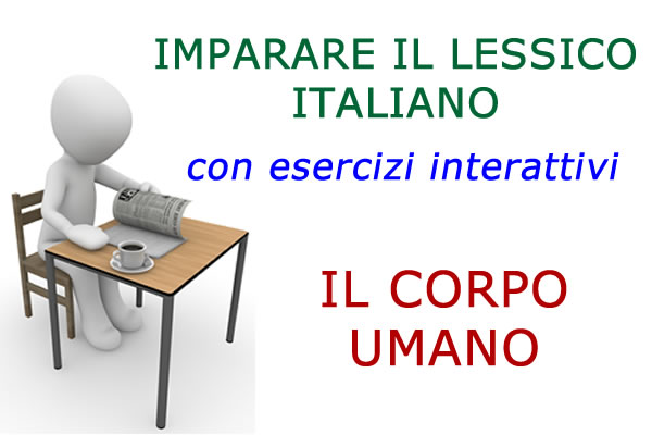 Imparare il lessico italiano -  il corpo umano